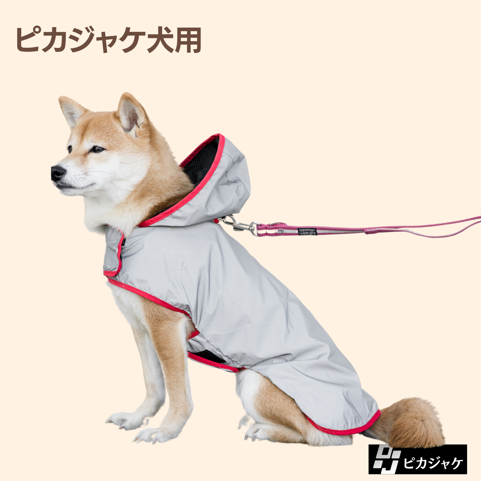 14_912cbb4d-dabb-4b95-a9bf-